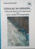 Andrzej Niwiński Czekając na Herhora. Odkrywanie tajemnic Teb Stubramnych czyli szkice z dziejów archeologii Egiptu